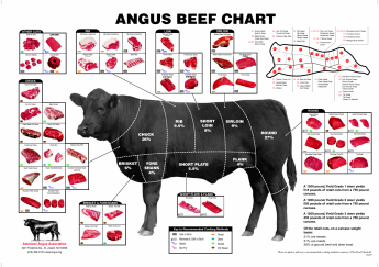 Tất cả mọi thứ bạn cần biết về phần cắt của thịt bò trong một biểu đồ
