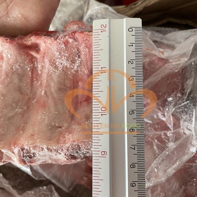 Sườn heo non cắt 8 cm (Pork spare rib)