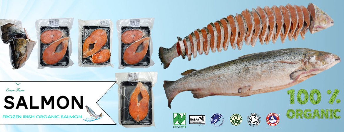 Cá Hồi Hữu Cơ - Cá Hồi Organic