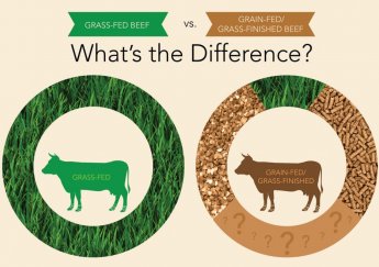 Có Bao Giờ Bạn Thắc Mắc Bò Ăn Cỏ Grass-Fed và Bò Ăn Ngũ Cốc Grain-Fed Khác Nhau Thế Nào?