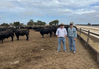 Coorong Black – Đỉnh Cao Của Nghệ Thuật Thịt Bò Từ Úc Black Angus