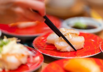 Tất Tần Tật Về Còi Sò Điệp Nhật (Hotate): Từ Đại Dương Đến Bàn Ăn Cao Cấp