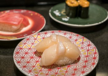 Còi Sò Điệp Nhật Loại Nào Làm Sashimi Ngon Nhất? Câu Trả Lời Gây Bất Ngờ!