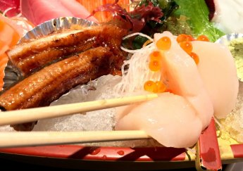 Còi Sò Điệp Trải Nghiệm Hotate Sashimi Khi Biển Cả Tan Chảy Trong Miệng Bạn