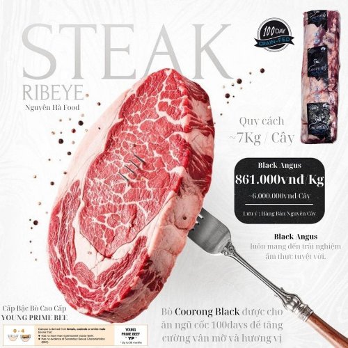 Black Angus