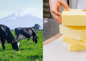 Cập Nhật Bảng Giá Sản Phẩm Anchor 2025