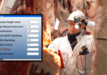 Nghệ Thuật Cảm Quan Câu Chuyện Đằng Sau Mỗi Con Bò : Đánh Giá Chất Lượng Thịt Bò Úc Bằng Giác Quan & Truy Xuất Nguồn Gốc