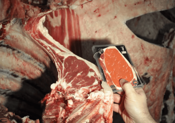 Giải mã thịt bò Úc: Tiêu chuẩn Aus-Meat, MSA & Bò Angus là gì?  Bí quyết chọn thịt bò Úc ngon đúng điệu