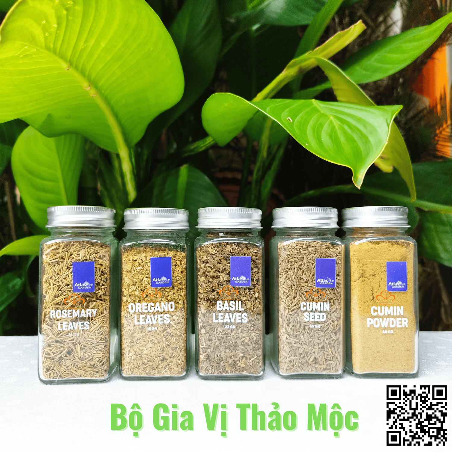 bo-gia-vi-thao-moc-nguyen-ha-food
