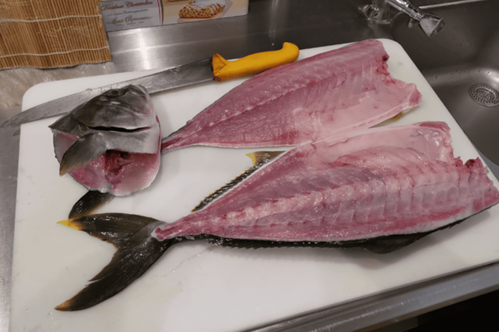 ca-cam-hamachi-nhat-ban