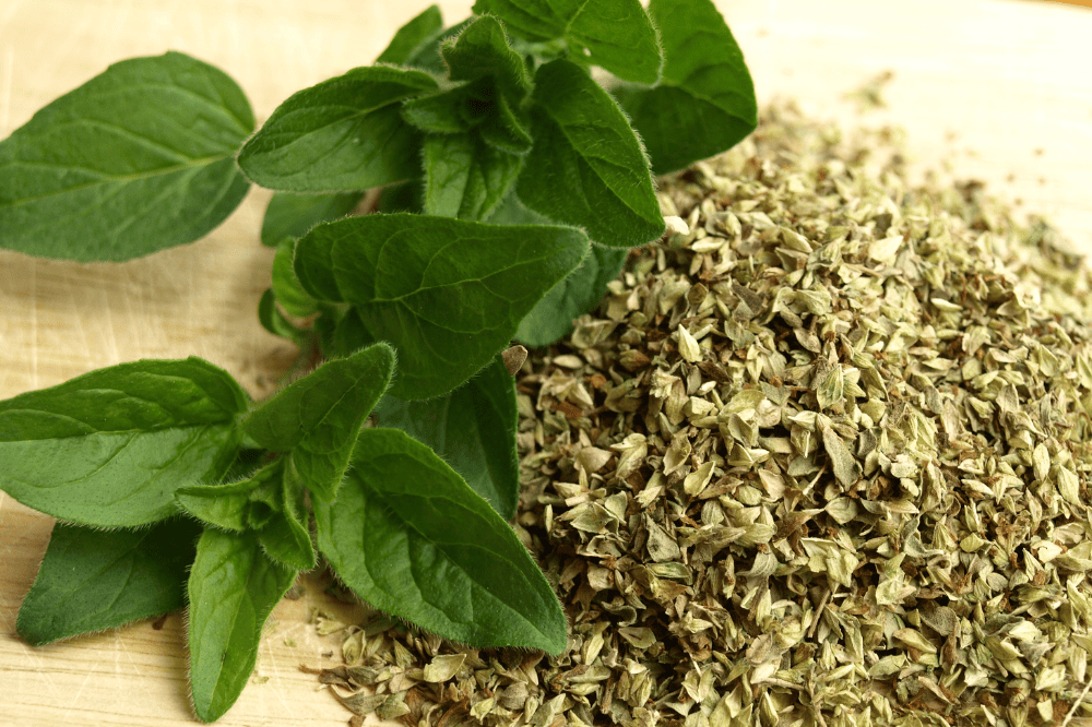 la-gia-vi-oregano