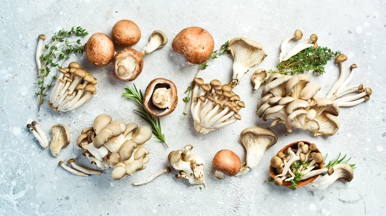 mushroom-nam-trong-am-thuc-nguyen-ha-food