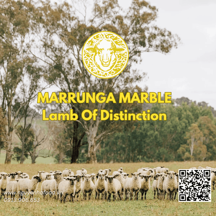 than-noi-cuu-uc-lamb-tenderloin-nguyen-ha-food